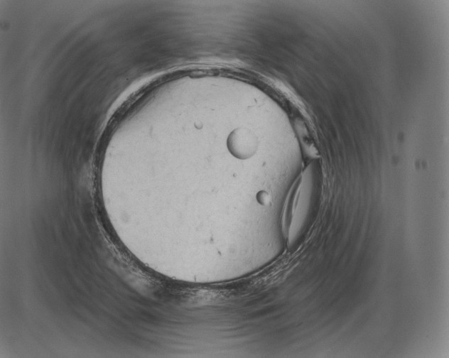 X0000084011412200703161702