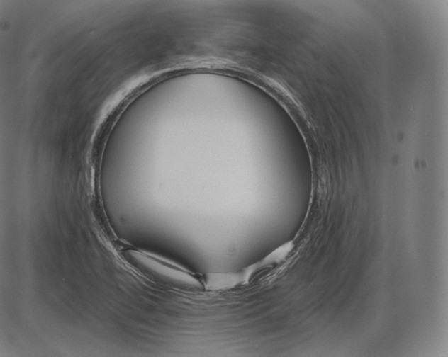 X0000084011414200703161702