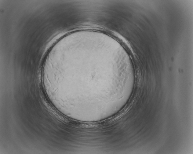 X0000084011415200703161702