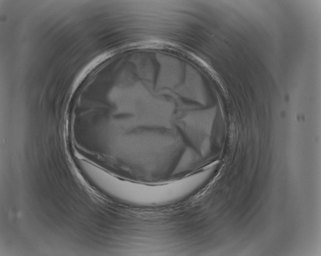 X0000084011418200703161702