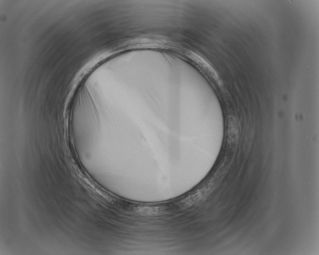 X0000084011419200703161702