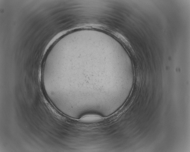 X0000084011420200703161702