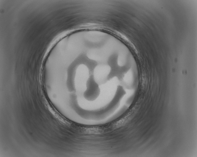 X0000084011421200703161702