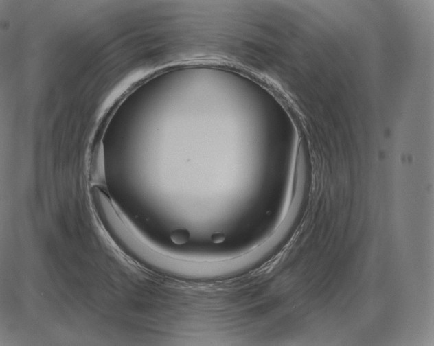 X0000084011422200703161702