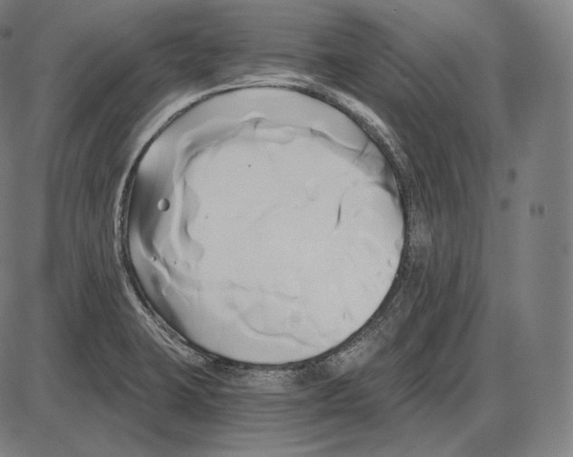 X0000084011423200703161702