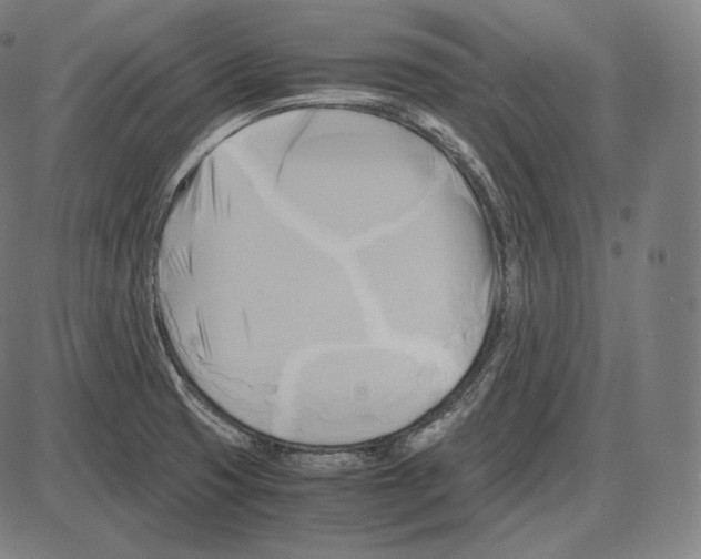 X0000084011425200703161702