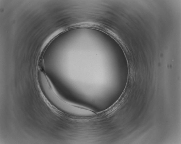 X0000084011426200703161702