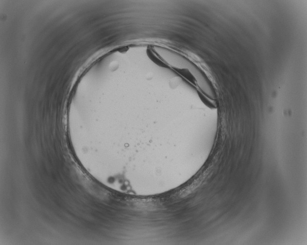 X0000084011428200703161702