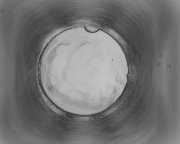 X0000084011431200703161702