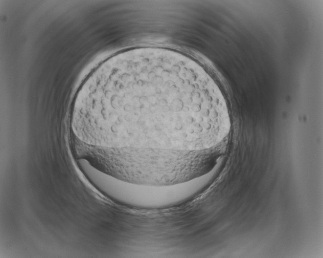 X0000084011432200703161702