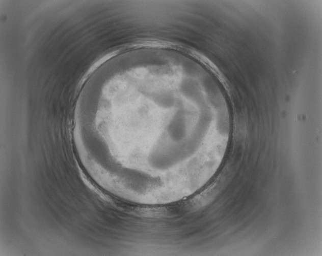 X0000084011433200703161702