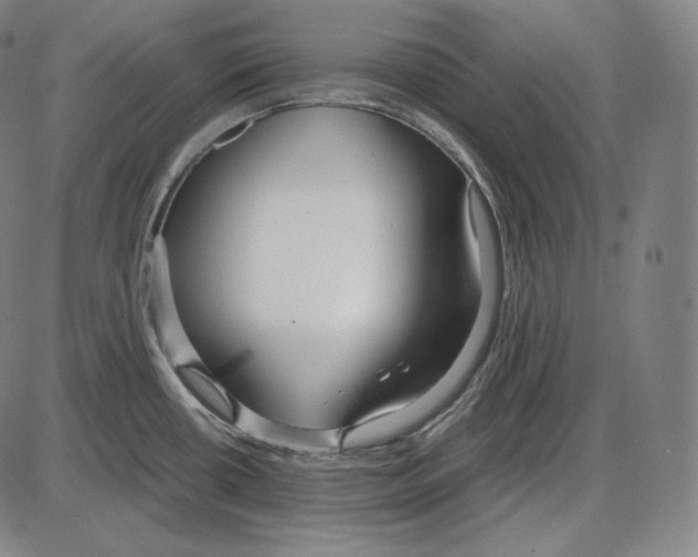 X0000084011434200703161702