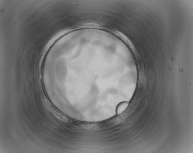 X0000084011435200703161702