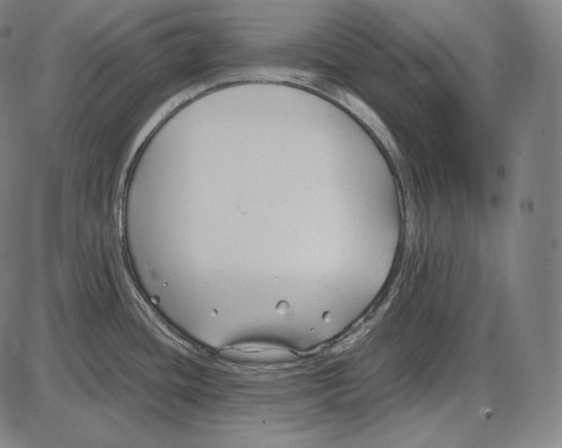 X0000084011436200703161702