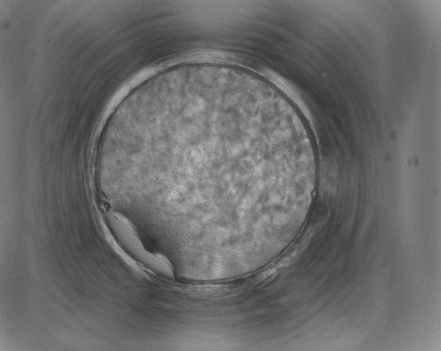 X0000084011437200703161702