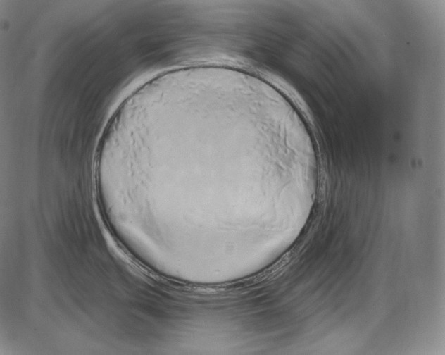 X0000084011439200703161702