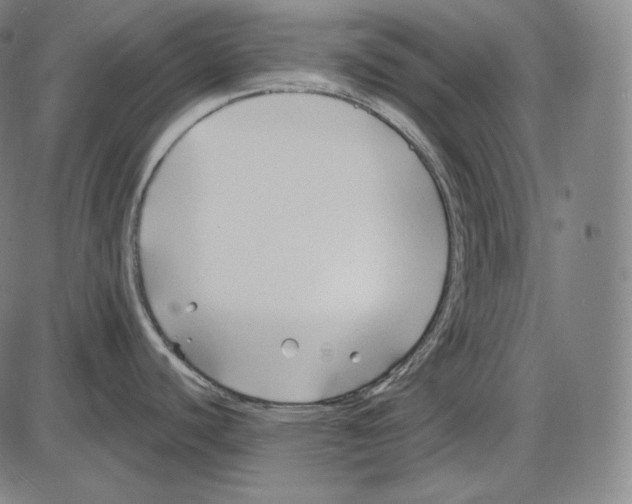 X0000084011440200703161702