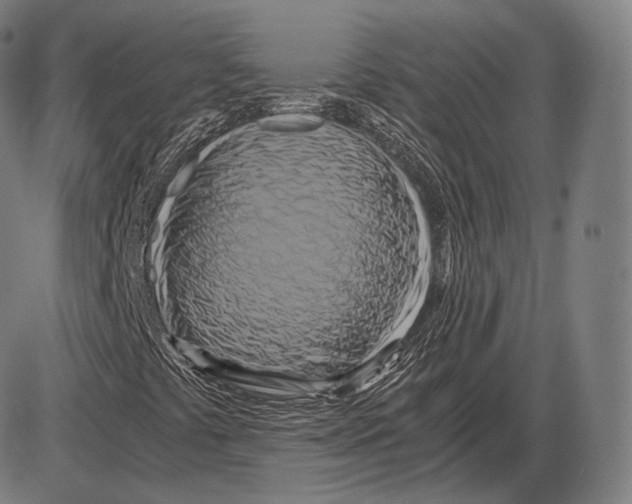 X0000084011441200703161702