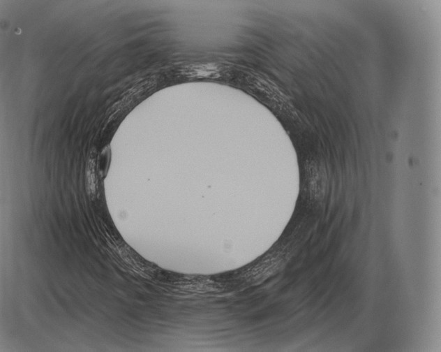 X0000084011442200703161702