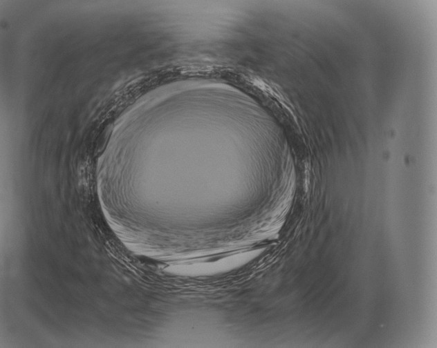 X0000084011445200703161702