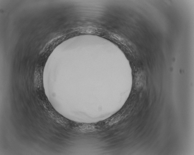 X0000084011446200703161702