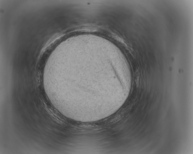 X0000084011448200703161702