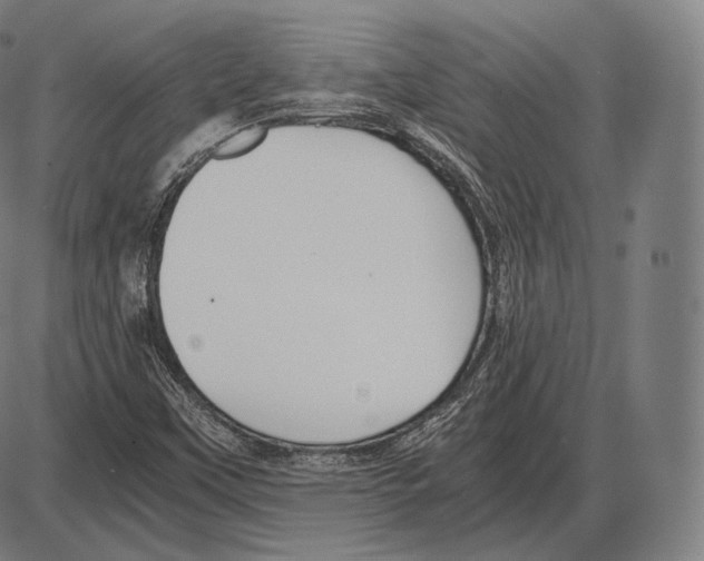 X0000084011451200703161701