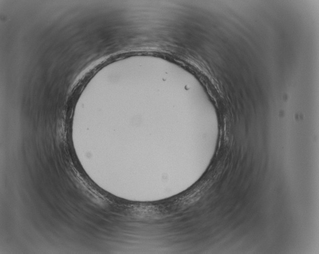 X0000084011452200703161701