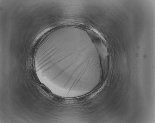 X0000084011453200703161701