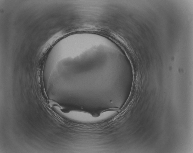 X0000084011455200703161701