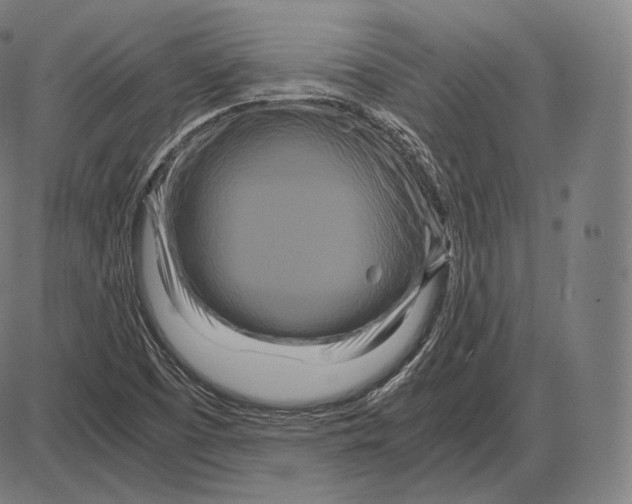 X0000084011457200703161701