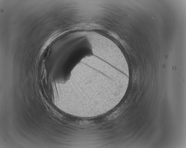 X0000084011459200703161701