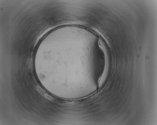 X0000084011460200703161701