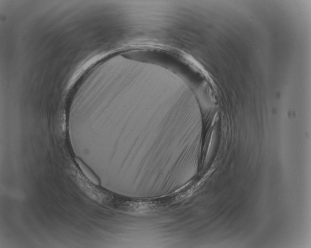 X0000084011461200703161701