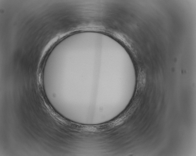 X0000084011462200703161701