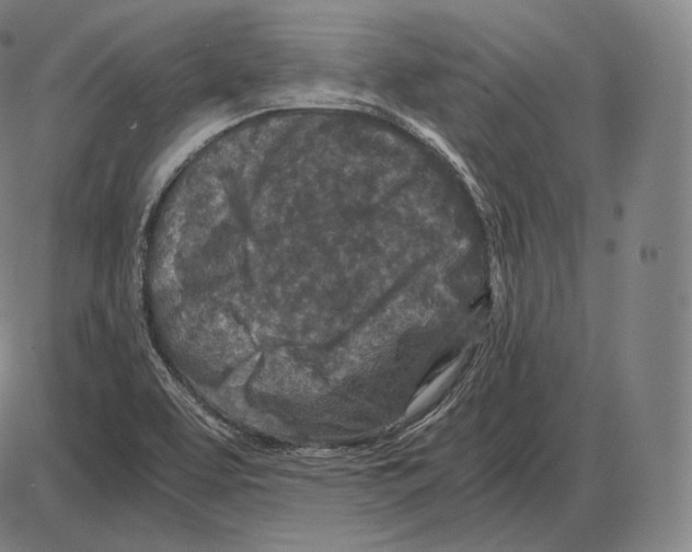 X0000084011463200703161701