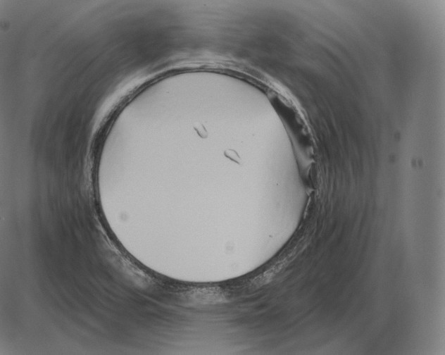 X0000084011464200703161701