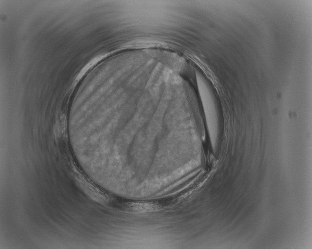 X0000084011465200703161701