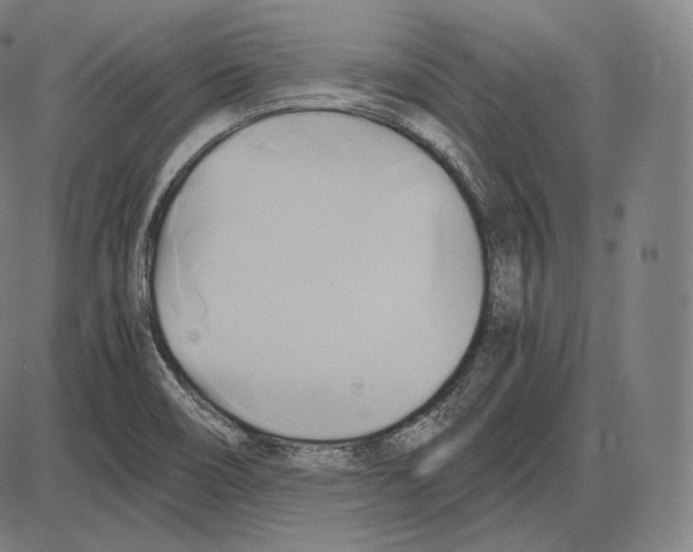 X0000084011466200703161701