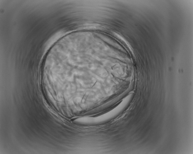 X0000084011467200703161701