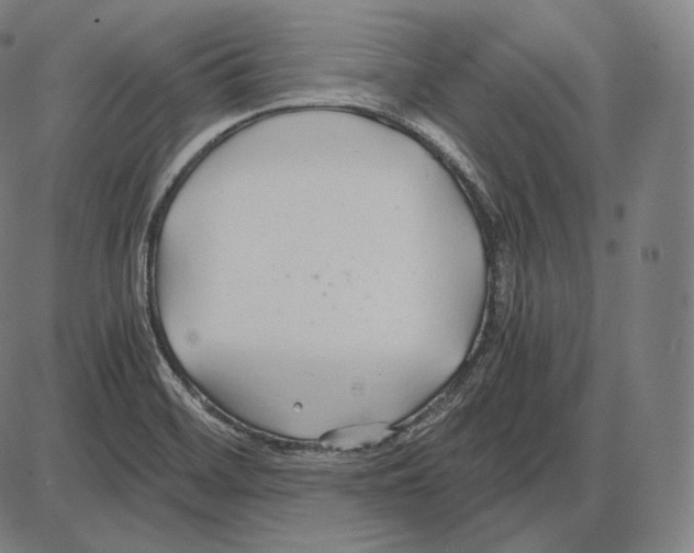 X0000084011468200703161701