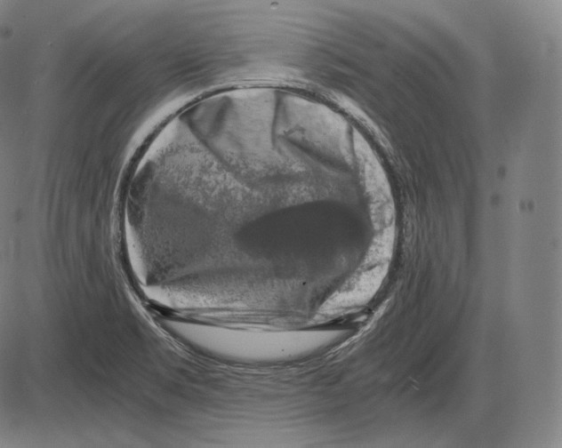 X0000084011469200703161701