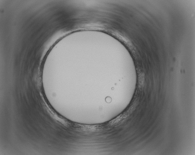 X0000084011470200703161701