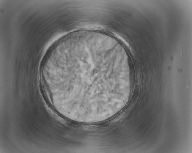 X0000084011471200703161701