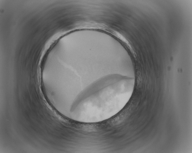 X0000084011472200703161701