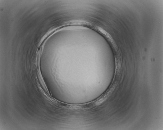 X0000084011473200703161701