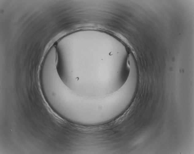 X0000084011474200703161701