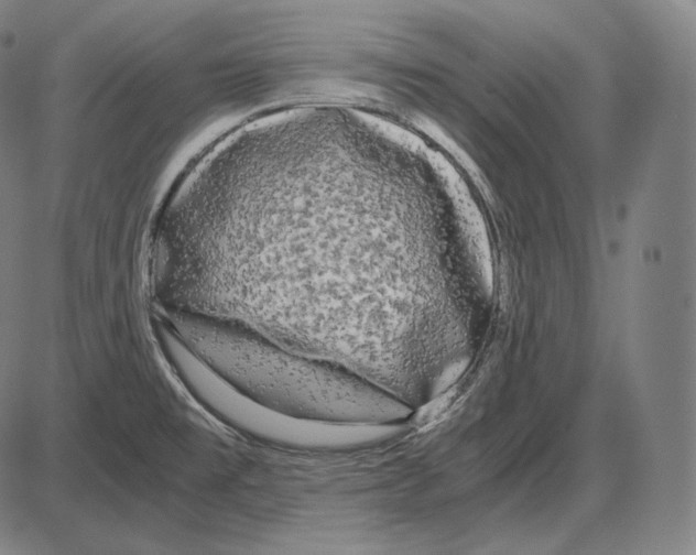 X0000084011477200703161701