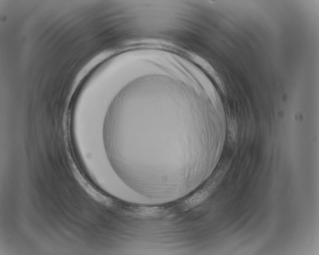 X0000084011482200703161701