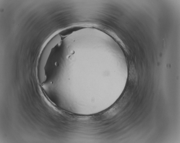 X0000084011484200703161701